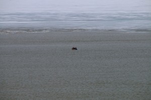 Fishermen return to the frigid water after the storm to check their nets. Arctic char is one of the main species captured in the Bay. (Photo credit: John Kelly)