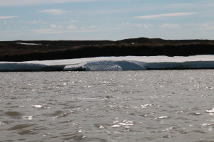 A large chunk of ice falls into the river. This ice used to be at the level of the river, but is starting to slough off as the water level has dropped and the temperature has risen. (Photo credit: John Kelly)