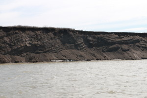 Layers of sedimentary rock formed as silt and other river sediments were deposited at the mouth of the river long ago. (Photo credit: John Kelly)