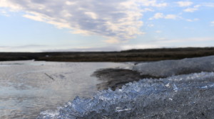 Candle ice breaks up along the shore as water drains into Coronation Bay from the tundra above. (Photo credit: John Kelly)