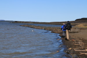 Researchers Rob Macdonald and Greg Lehn walk on the edge of the shore, examining rocks and trash washed to the water's edge. (Photo credit: John Kelly)