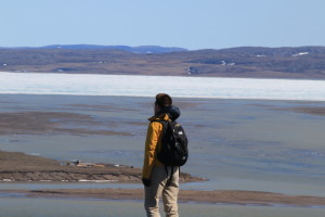 Researcher Greg Lehn takes in the view of Coronation Bay. On the horizon, ice still clogs the coastline. (Photo credit: John Kelly)