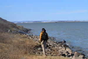 Researcher Greg Lehn walks along the shore of the Coppermine River. (Photo credit: John Kelly)