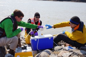 Water sampling requires teamwork and coordination. Gloves are also necessary to make sure we do not contaminate the samples. (Photo credit: Rob Macdonald)